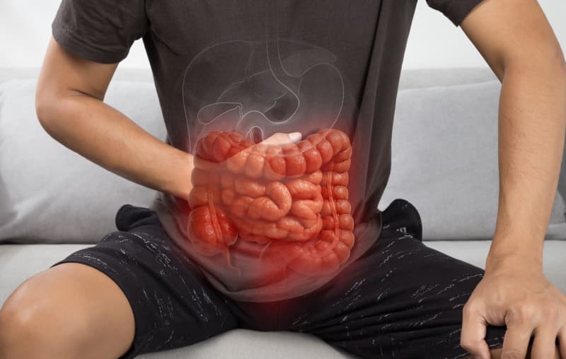 Il tuo intestino non serve solo per digerire: come il microbiota influenza cervello, immunità e benessere