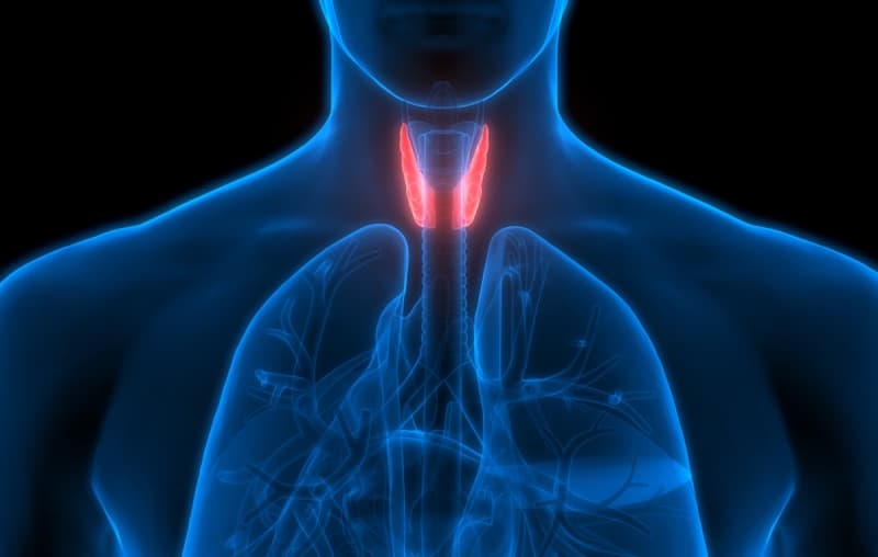 Le Cure Naturali per la Tiroide
