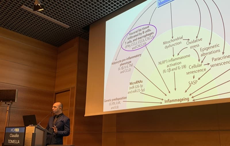 Focus sulla Meta Infiammazione