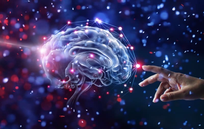 Docente al Master "Esperto in progettazione e conduzione di programmi di training neuro-cognitivo"