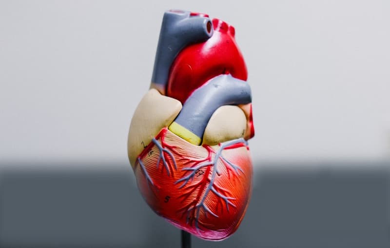 Cardiologia metabolica per la prevenzione e cura delle malattie del cuore
